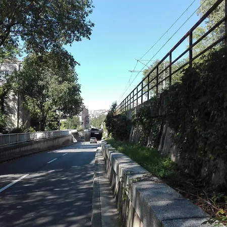 Fani リエカ