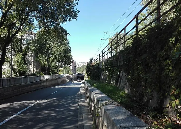 Fani Rijeka